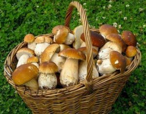 кошик з грибами