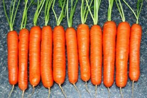 Поздний сорт моркови