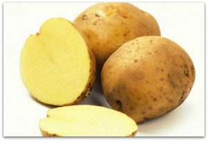 Сорт-картофеля-Альпинист-фото-768x521