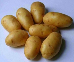Сорт-картофеля-Лорх-768x644