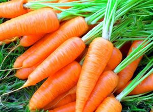 Сочная морковь