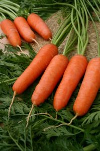 Среднеспелая морковь